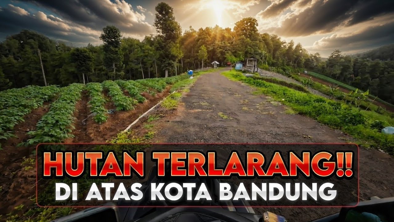 Perjalanan Menuju Hutan Babagongan Di Puncak Gunung Cimenyan