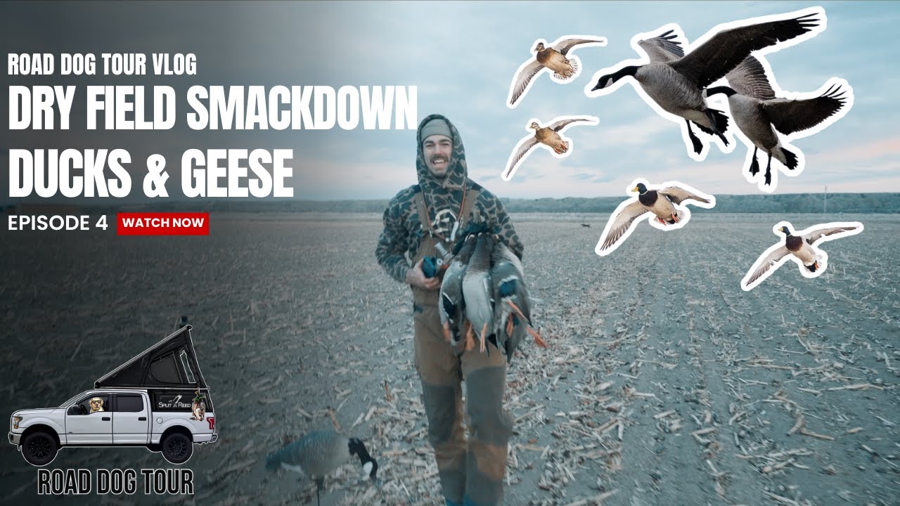 The MIGRATION is ON: Dry Field Duck & Goose Smackdown | Road Dog Tour Ep. 4
