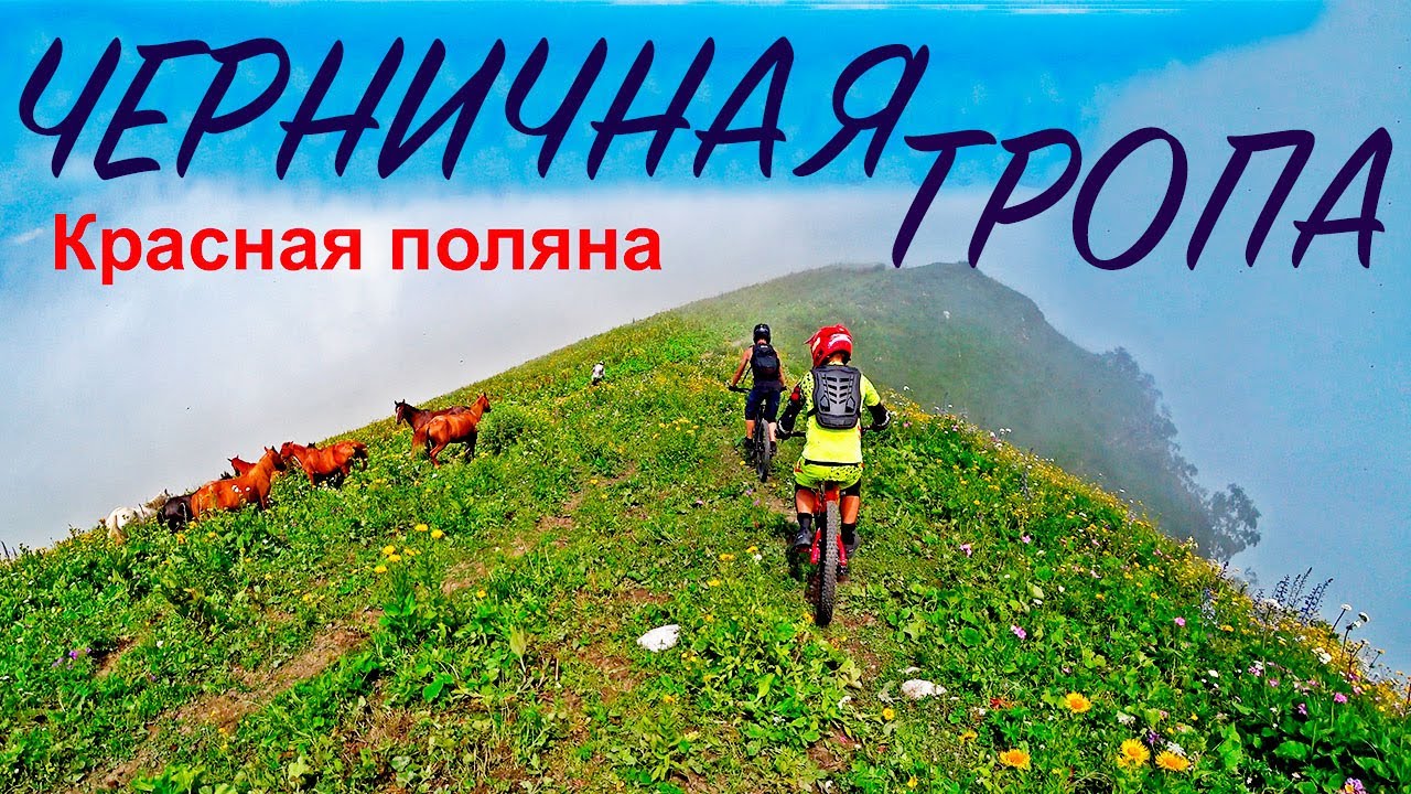 ТРЕЙЛЫ СОЧИ. Красная поляна. Трейл 