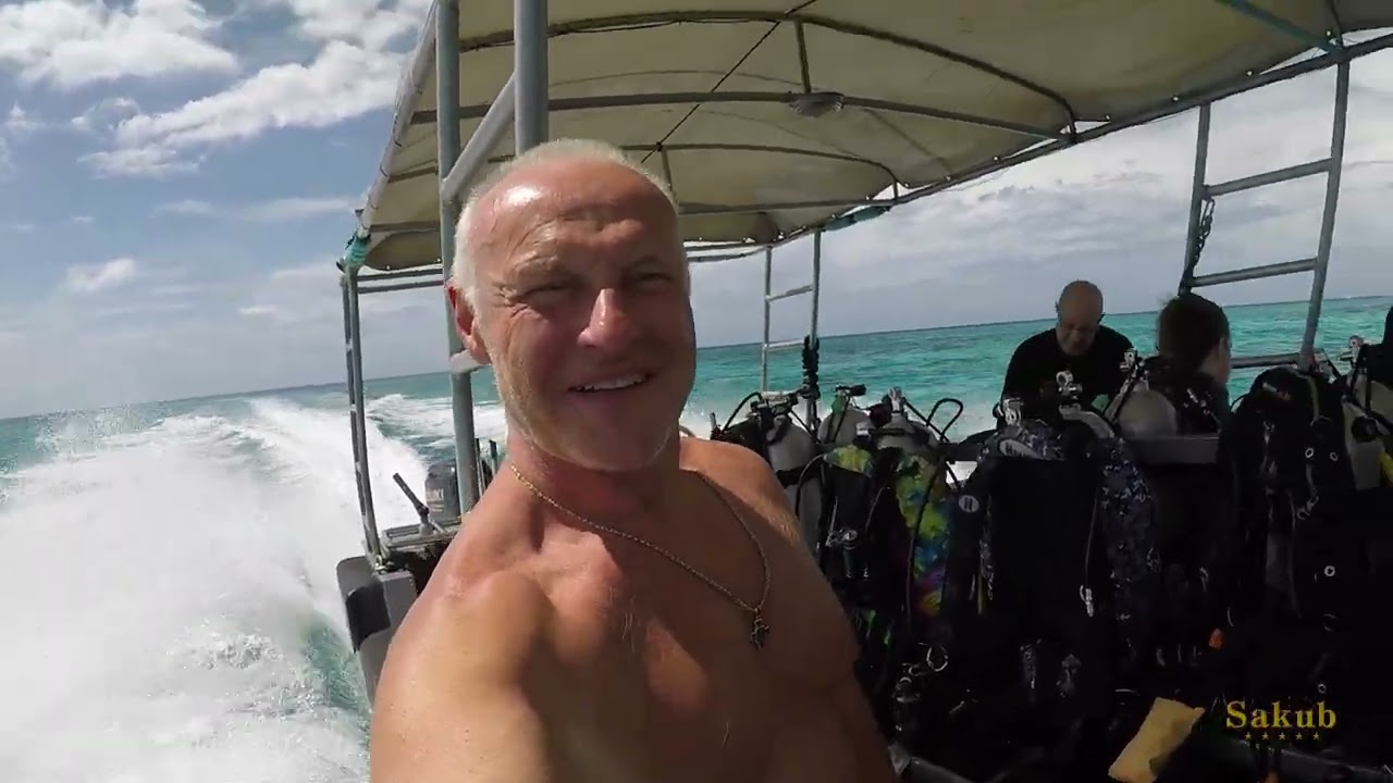 Fantastic Diving in Palau, December 2025