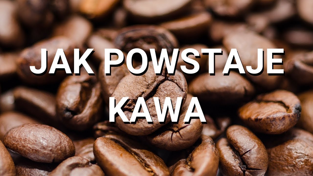 Jak powstaje kawa?