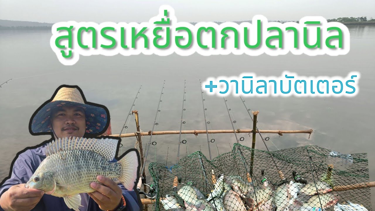สูตรเหยื่อตกปลานิล ตกปลาธรรมชาติ หอมไกล 10 กิโล หมักเหยื่อตกปลาหน้าดินธรรมชาติ 