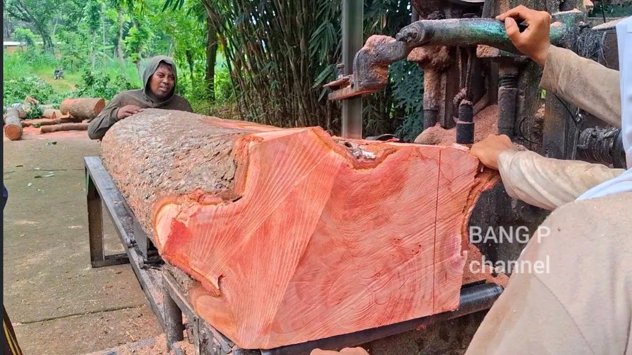TERLALU BESAR !! Penggergajian kayu merah mahoni - mesin Bandsaw rakitan 