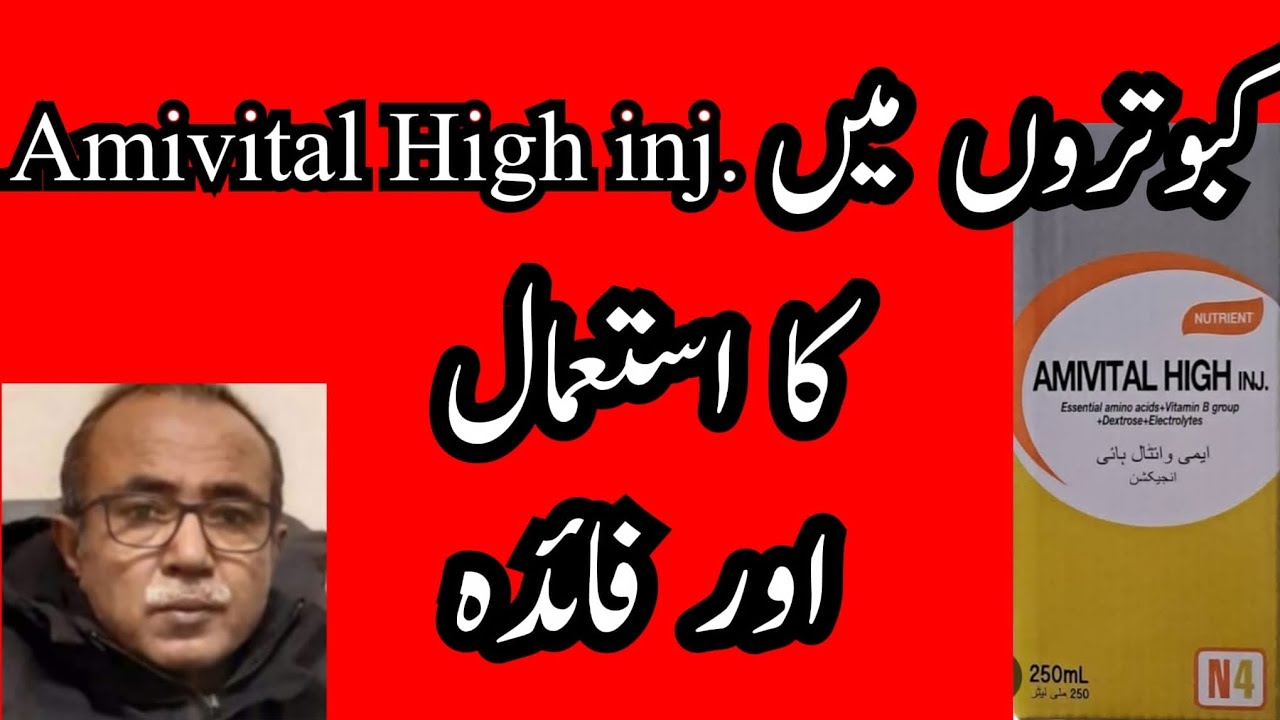 کبوتروں میں Amivital High  inj کا استعمال اور فائدے۔