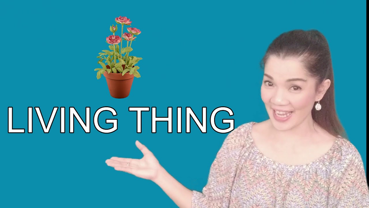 Demo lesson on Living and Non living Things for young learners