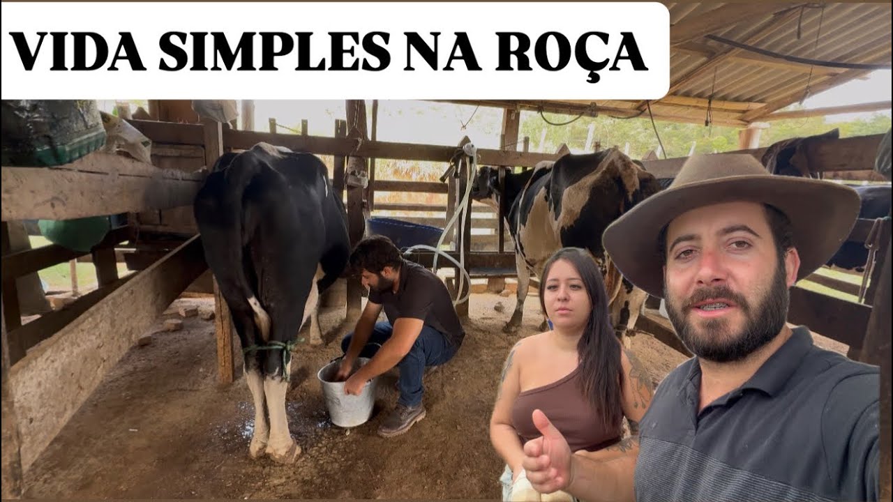 Nossa rotina vivendo em um sítio isolado do zero em MG