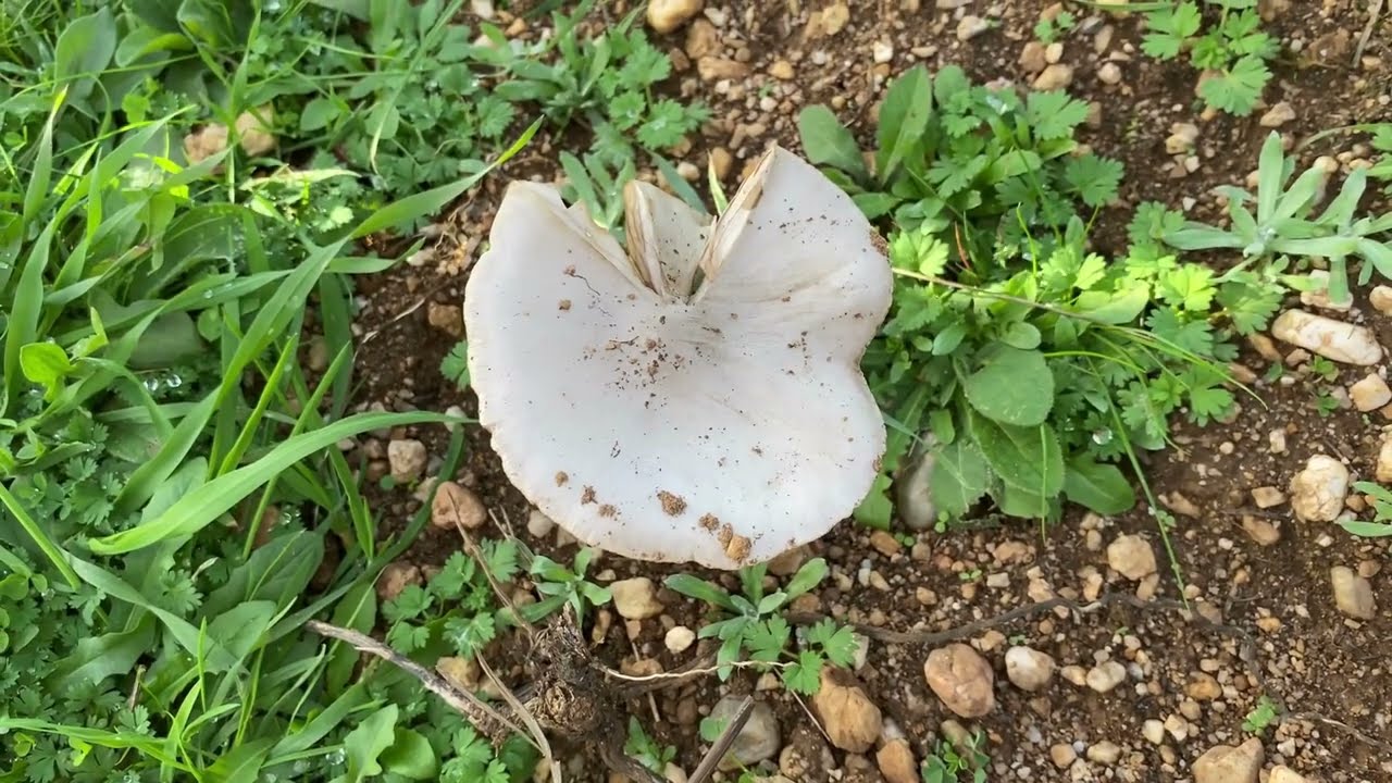Une parenthèse bucolique à la campagne.