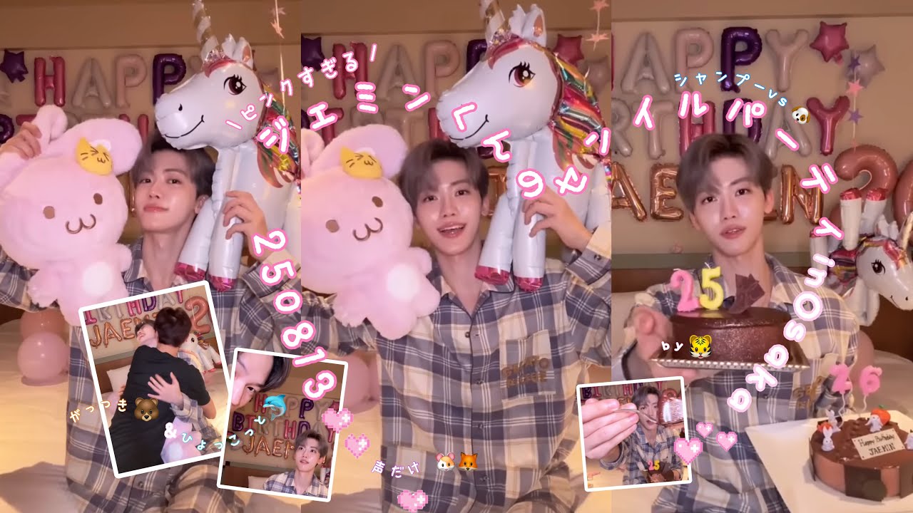 💚ほぼ全員登場回💚ジェミンの賑やかセンイルライブ2025【NCTDREAM 日本語字幕】ウィラ切り抜き_🐯🦊🐻🐬🐹+訳あり🐶