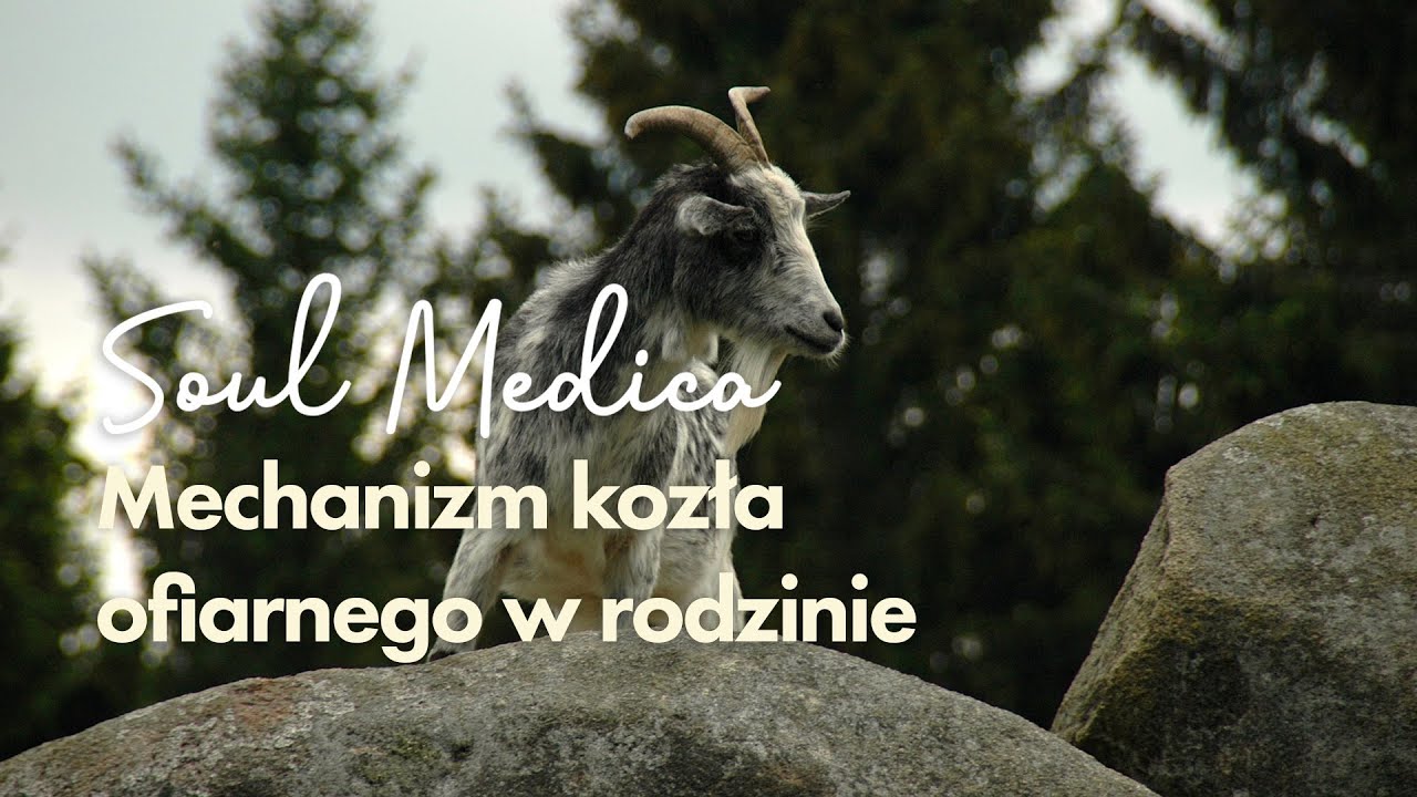 Mechanizm kozła ofiarnego w rodzinie