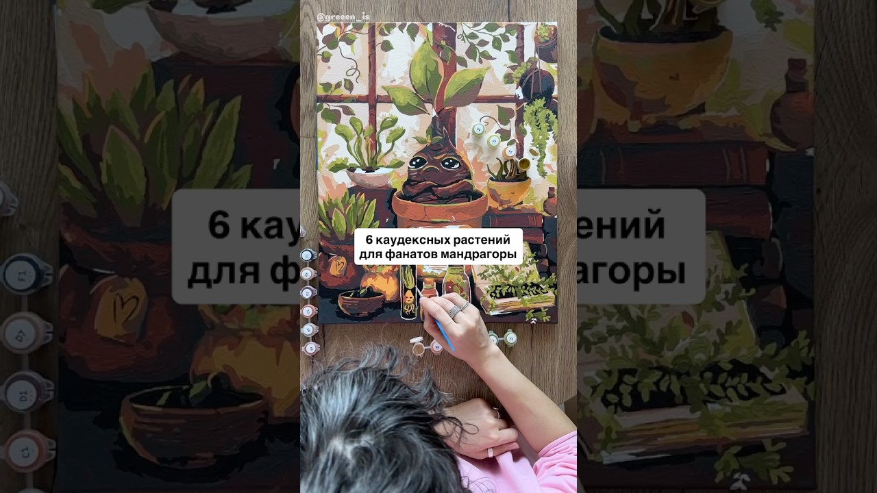 Растения для фанатов мандрагоры 💚