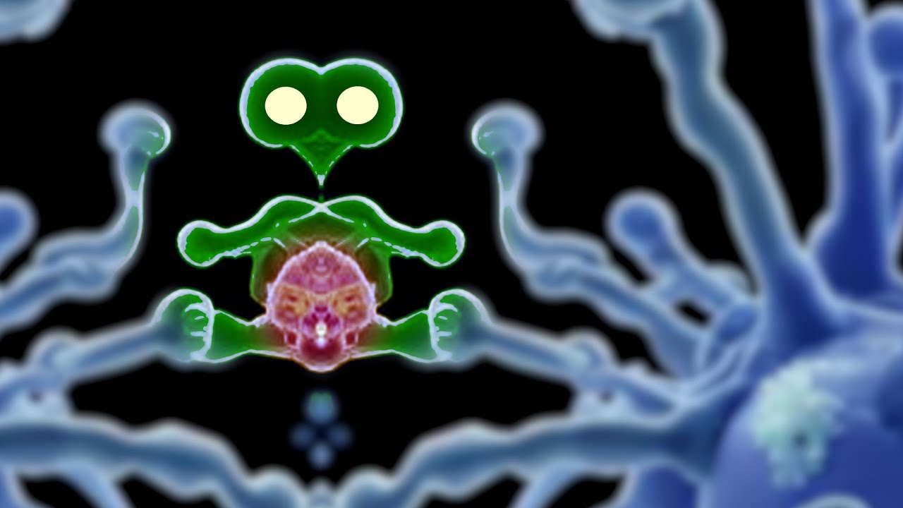 Top AI PREDATORS emerge from a continuous evolutionary process