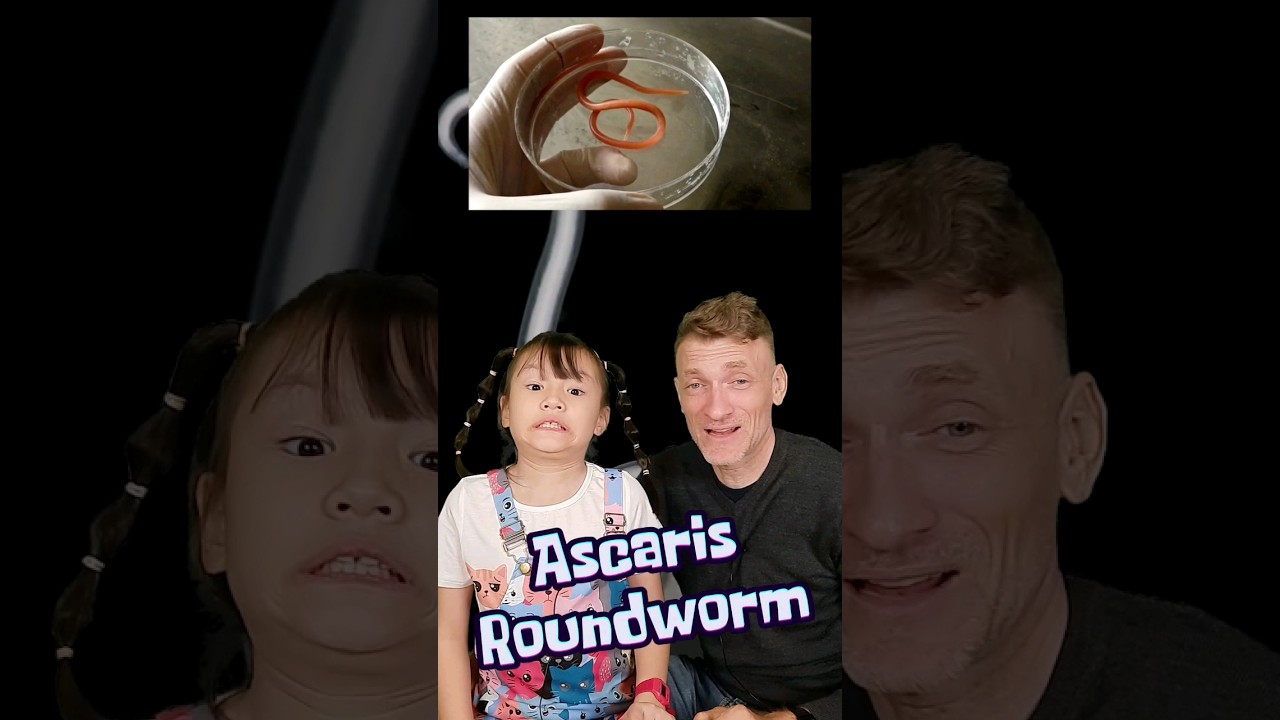 Ailani's Ascaris Roundworm Adventure! | Earth's Deadliest Creatures | Ailani's Little World