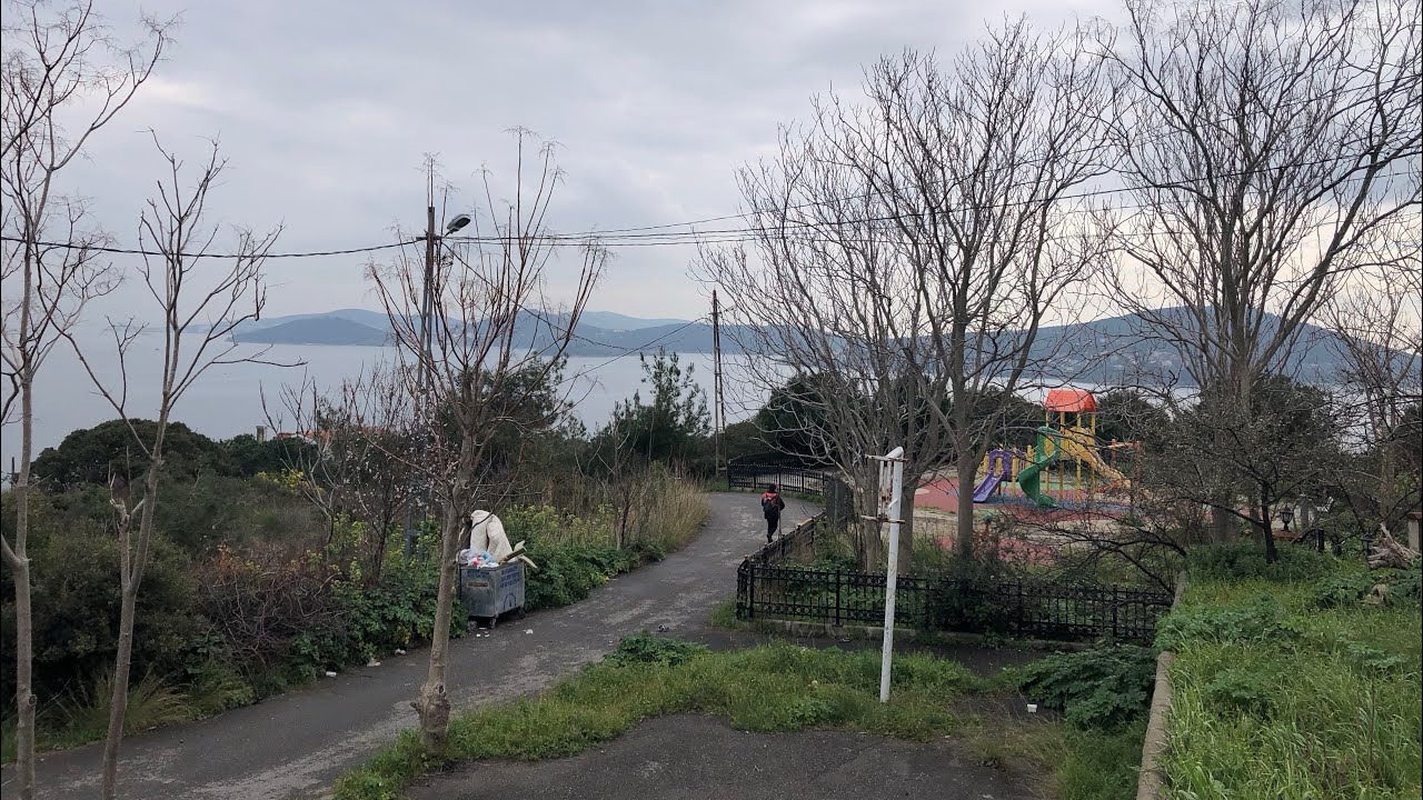 MART ta KINALIADA BAKIN NE DURUMDA SESİZ,SOĞUK ,TENHA ,KEDİLER, KÖPEKLER ,MARTILAR ,KUŞLAR HAKİM