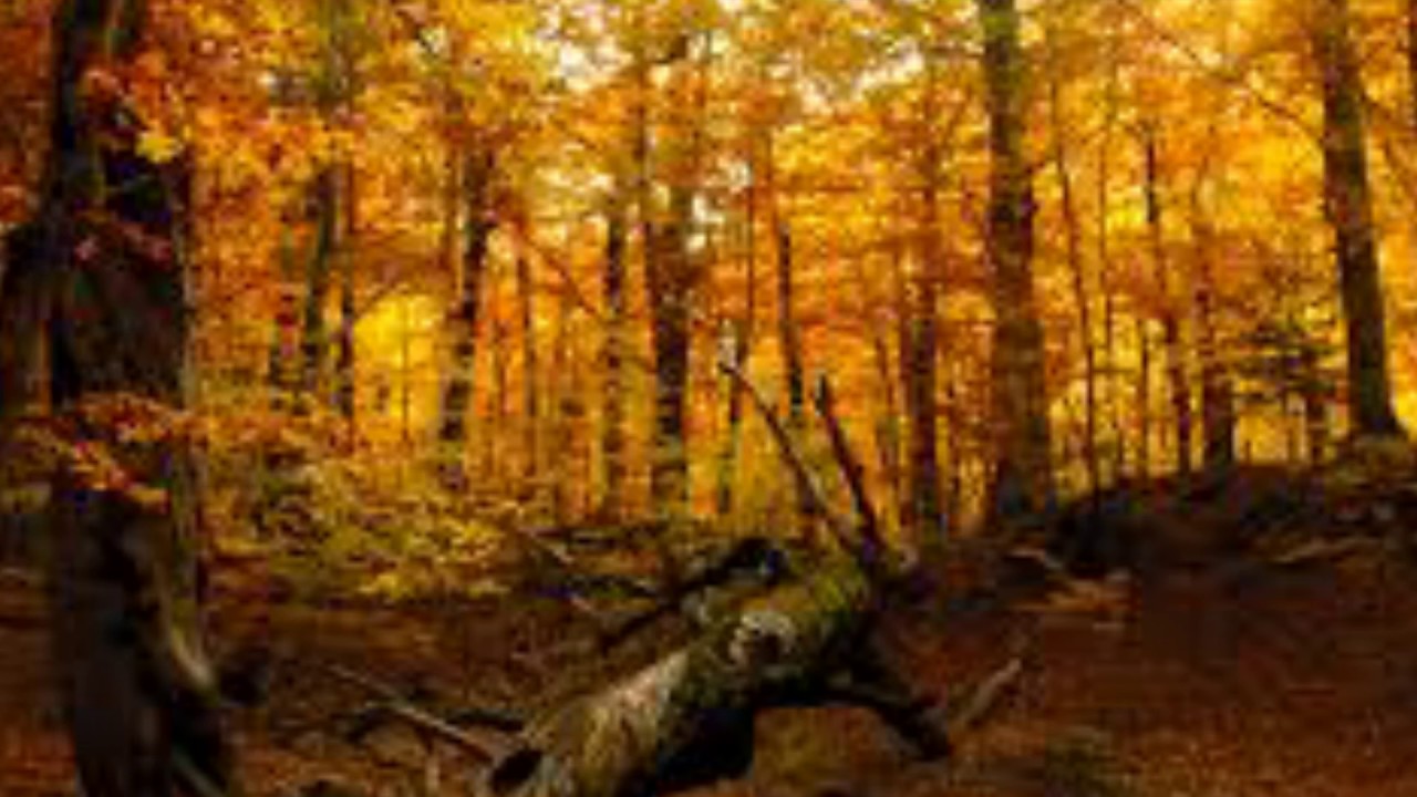 Iday - Autumn Romance
