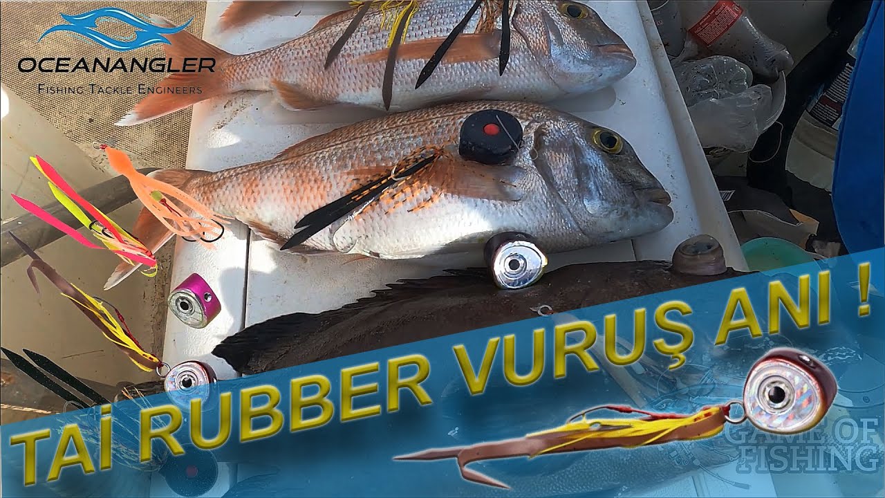 Tai rubber ile vuruş anı