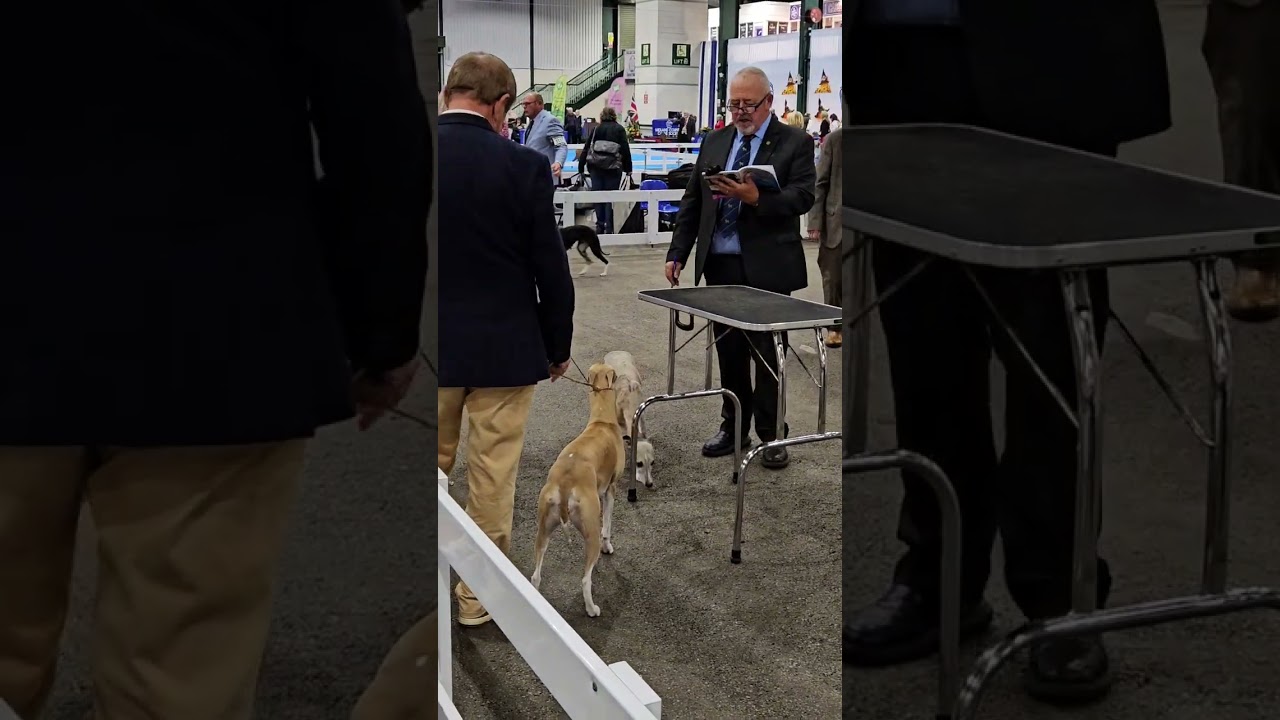 MC BCC & BOB October 2025