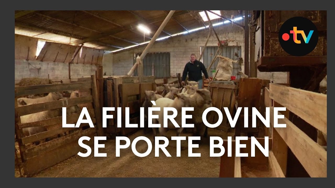 Un éleveur de moutons heureux