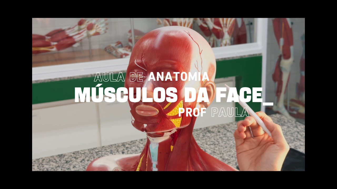 AULA PRÁTICA - Músculos da face - Anatomia Humana