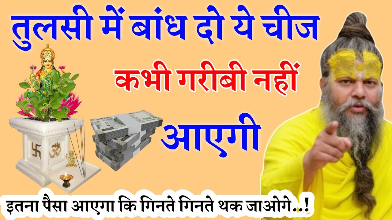 तुलसी में बांध देना ये एक चीज, इतना पैसा आएगा कि संभाल नहीं पाओगे..! Premanand Ji Maharaj 