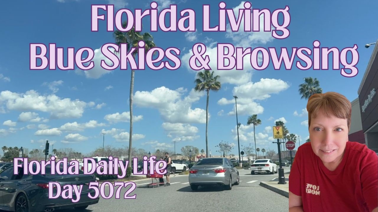 Daily Florida Life/Florida Living | Blue Skies & Browsing (day 5072)