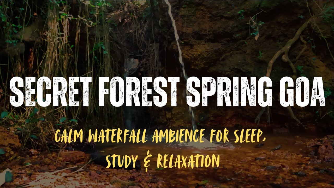 Secret Forest Spring Goa (1 Hour) – Calm Waterfall Ambience for Sleep, Study & Relaxation