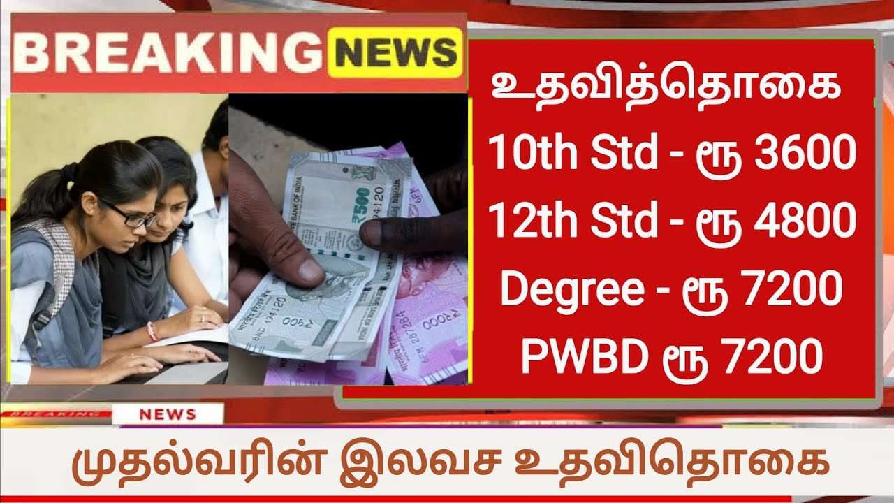Free scholarship scheme Tamil Nadu in 2023 | unemployment government scholarship | Tamil News Today
