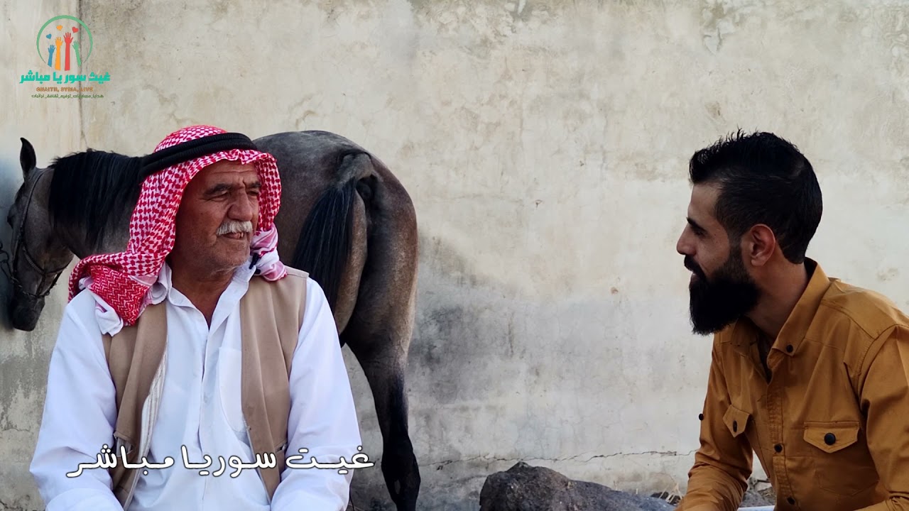الخيول العربيه الاصيله في حوران