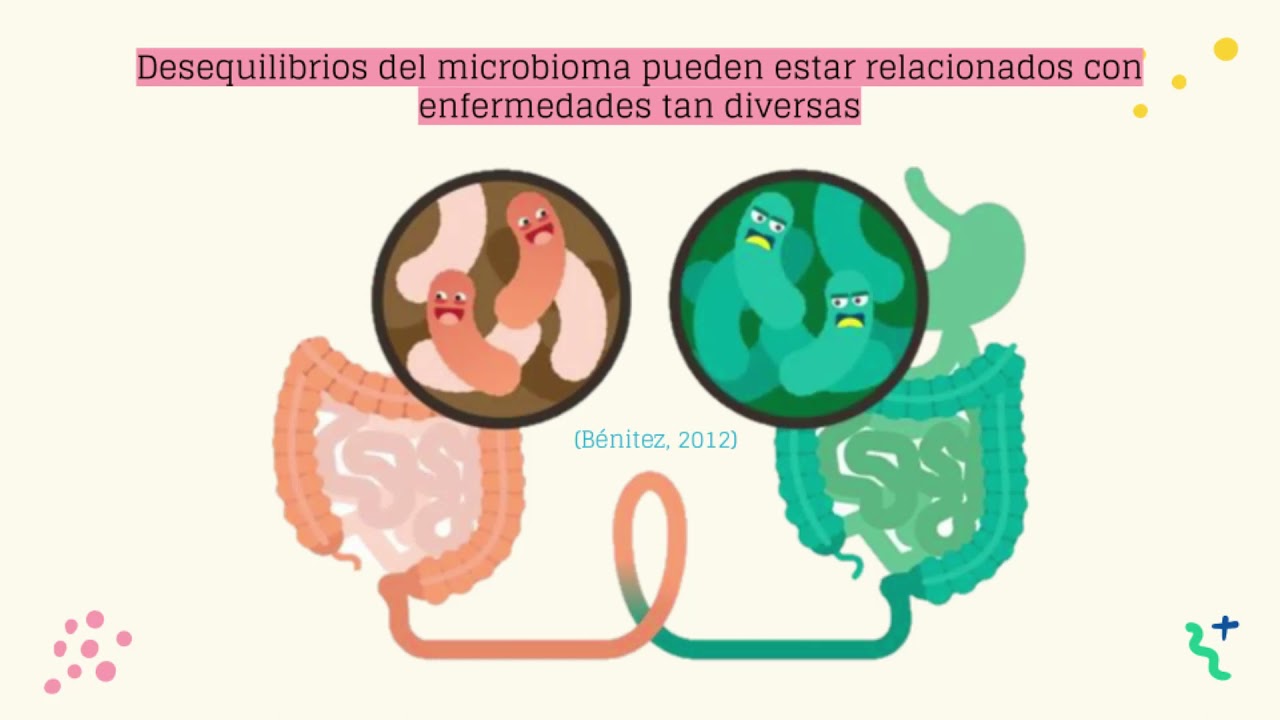 Exploración de microbiomas en animales. Autor:  Heidy Galilea Dolores Raymundo