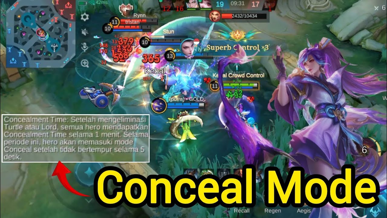Conceal Mode Advance Server 