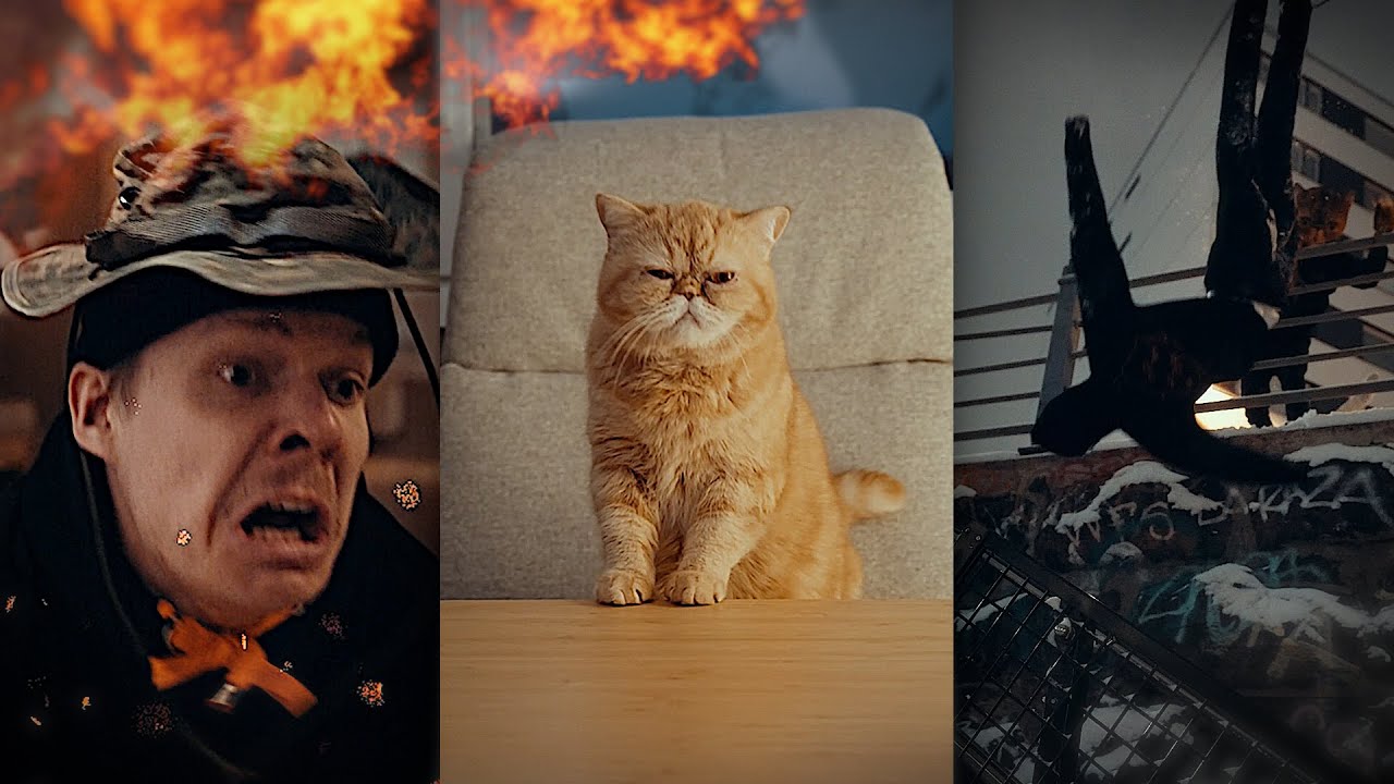 KAUHEA tilanne Sansan toimistolla!⚠️ 