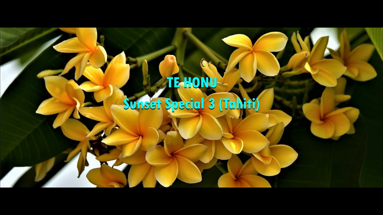 Sunset Special - Te Honu - Cook Islands Music