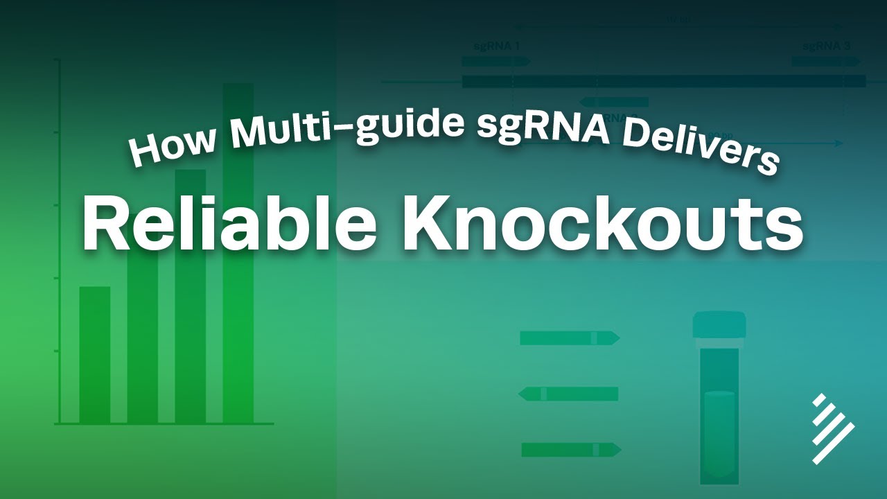 How Multi-guide sgRNA Delivers Reliable Knockouts