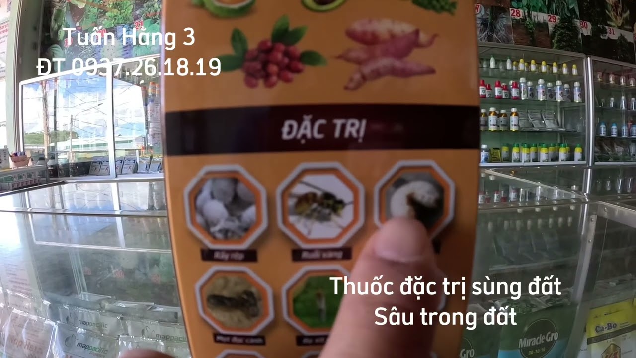 Thuốc đặc trị sùng đất,sâu đất#caytrong#thuocbvtv#chanhday