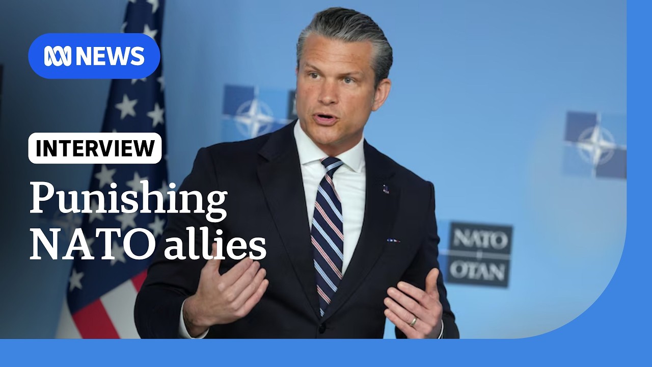 Hegseth review of NATO designed to 'punish' allies: expert | ABC NEWS