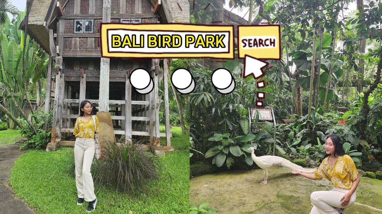 VLOG BALI BIRD PARK | KEBUN BINATANG BALI