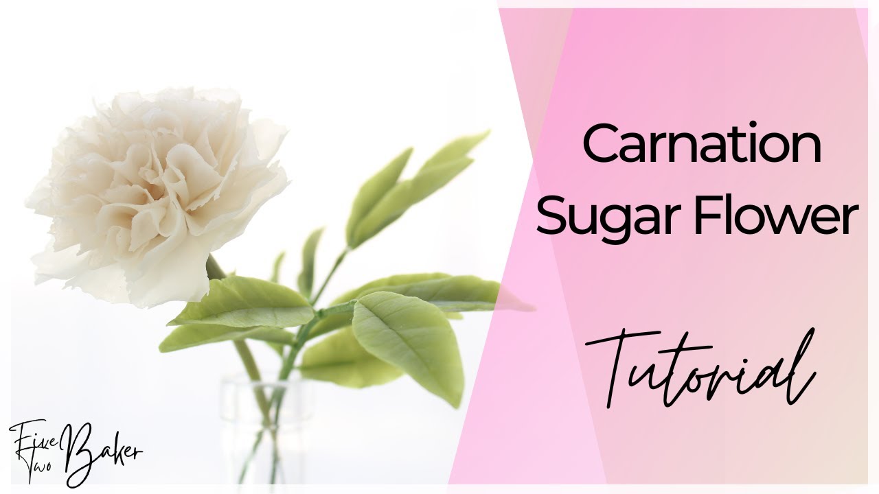 Carnation Sugar Flower Tutorial ⎸Step by Step How to Make a Carnation