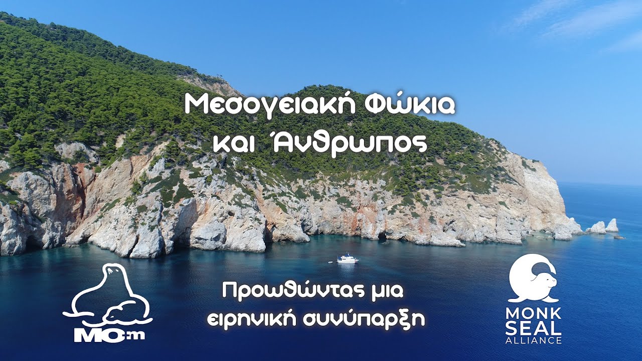 Μεσογειακή Φώκια & Άνθρωπος - Προωθώντας μια ειρηνική συνύπαρξη