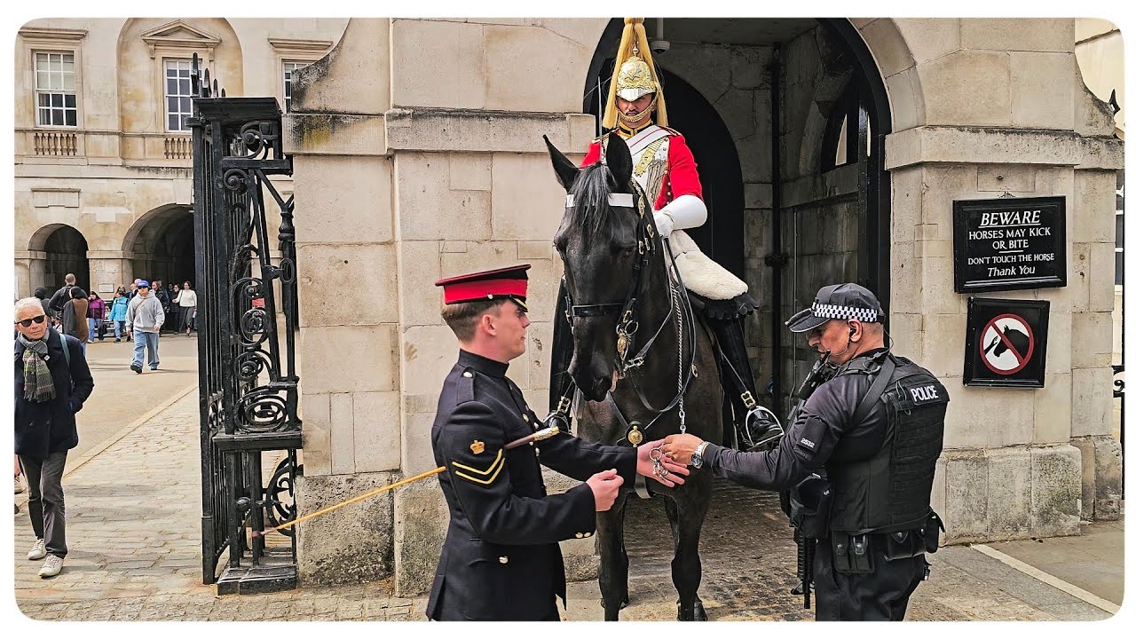 Q10 Returns and Chaos as BOTH HORSES Have a Meltdown at Horse Guards!