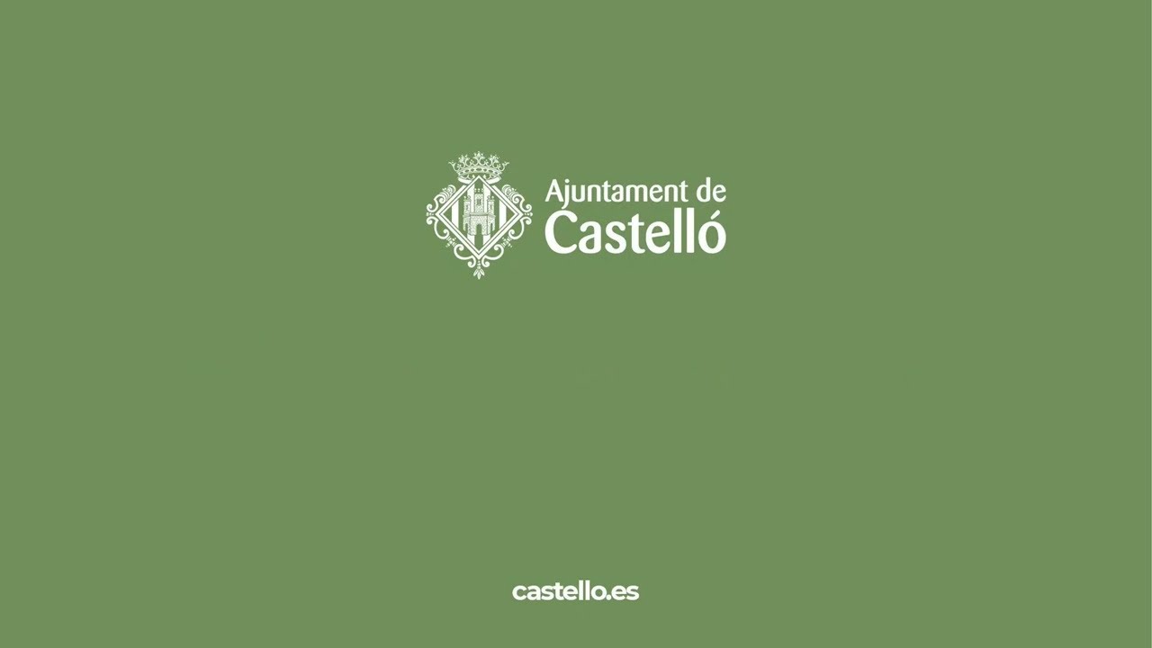 Torn Públic de Precs i Preguntes del Ple ordinari de l'Ajuntament de Castelló del 31 juliol 2025