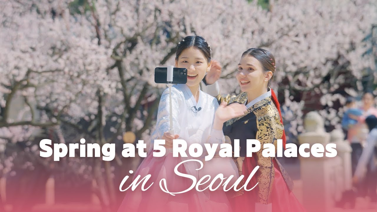 Spring at the 5 royal palaces in Seoul 🌸| Cherry blossom, Hanbok, Gyeongbokgung, Changdeokgung