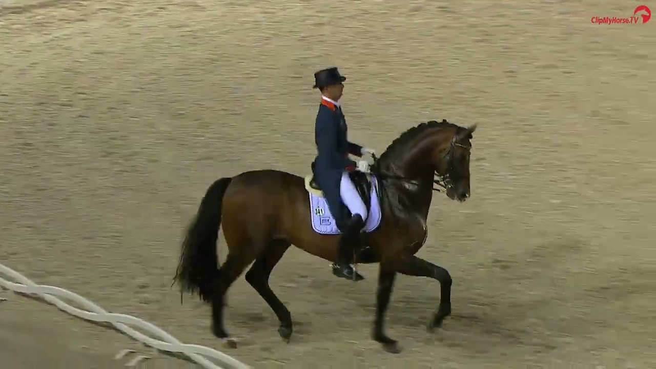 Glock's Romanov & Hans Peter Minderhoud