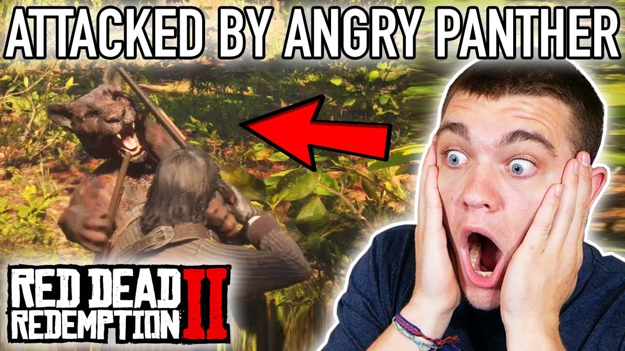 НАПАДЁН ЯГУАРОМ! Red Dead Redemption 2 Pt.29 — Кендалл Грей