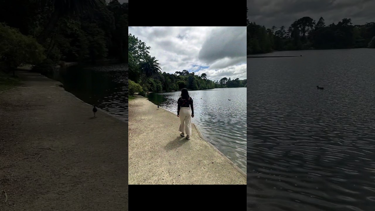show some love to my videos #comments #nzstuff #beachfood #nature #newzealnd #books #like #nzvlog