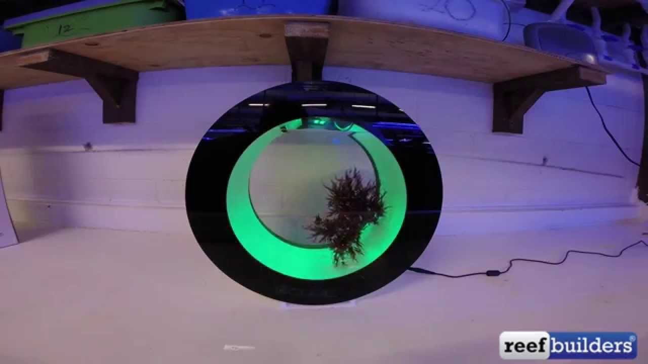 Cubic Orbit 20 Time Lapse of setup