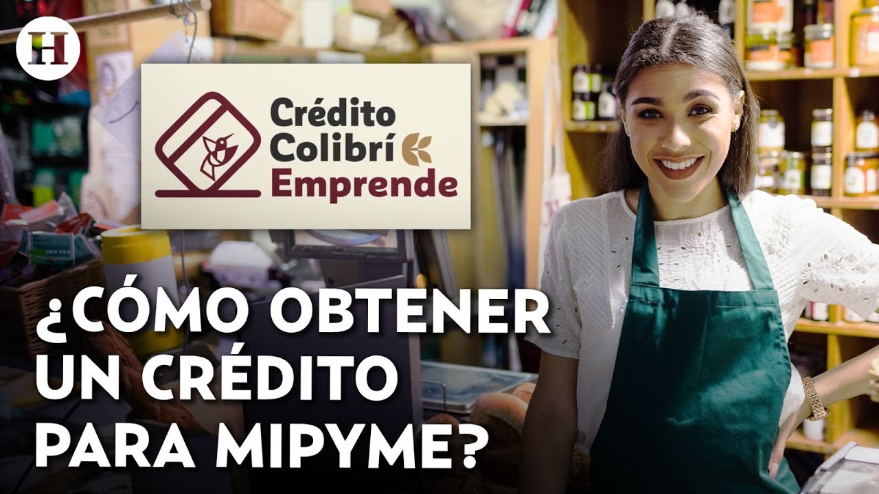 ¡Edomex apoyará a MiPymes! Lanzan crédito Colibrí para apoyar a emprendedores ¿Cómo acceder a él?