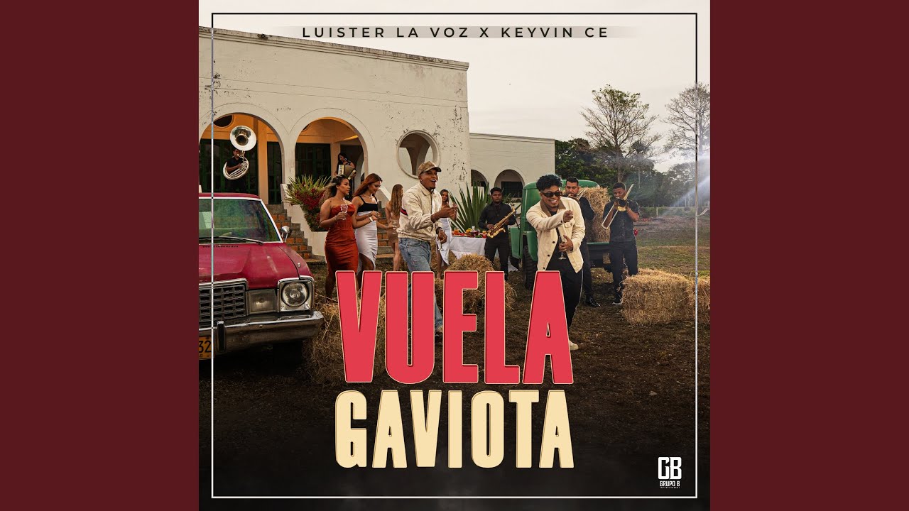 Vuela Gaviota