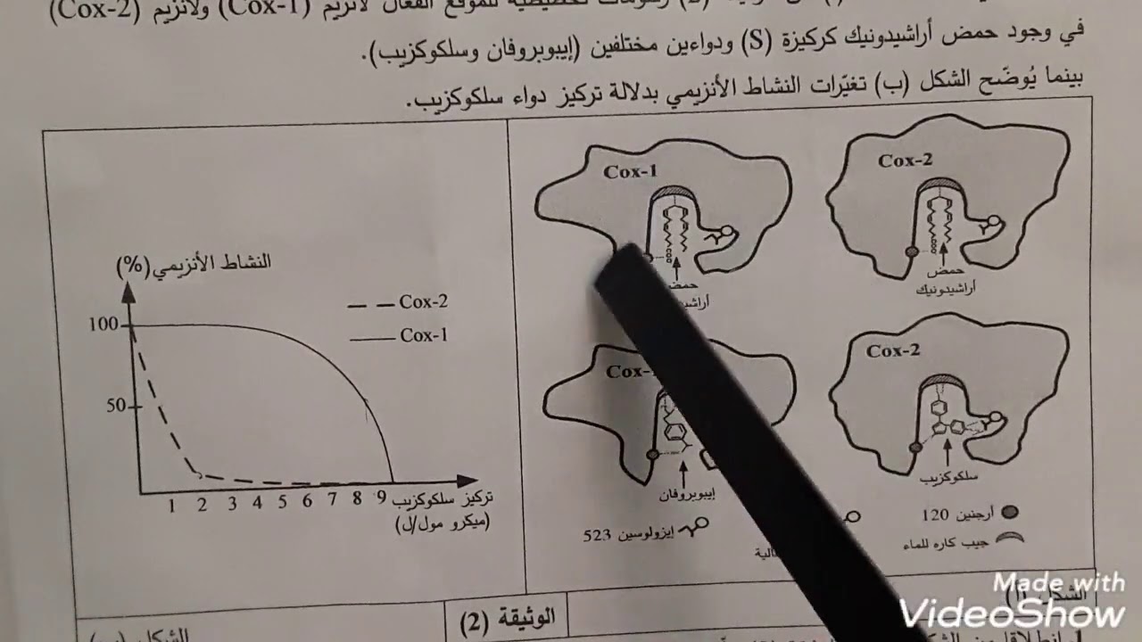 باك 2020 :مناقشة التمرين 2 الموضوع 1 الخاص بالانزيمات