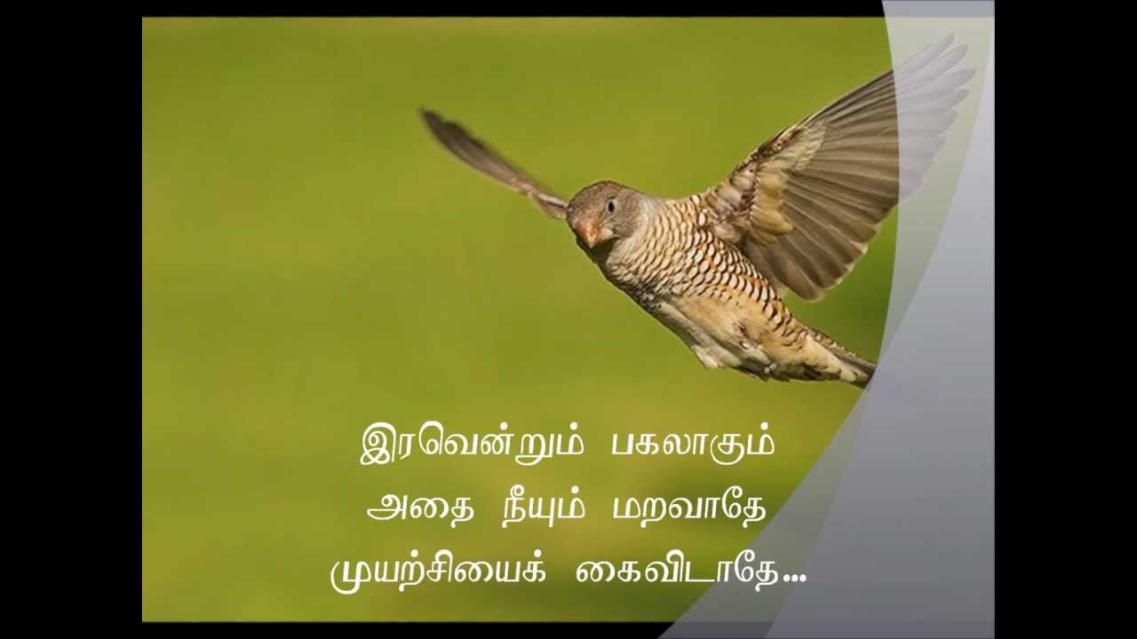 Eluvai Neeye... 