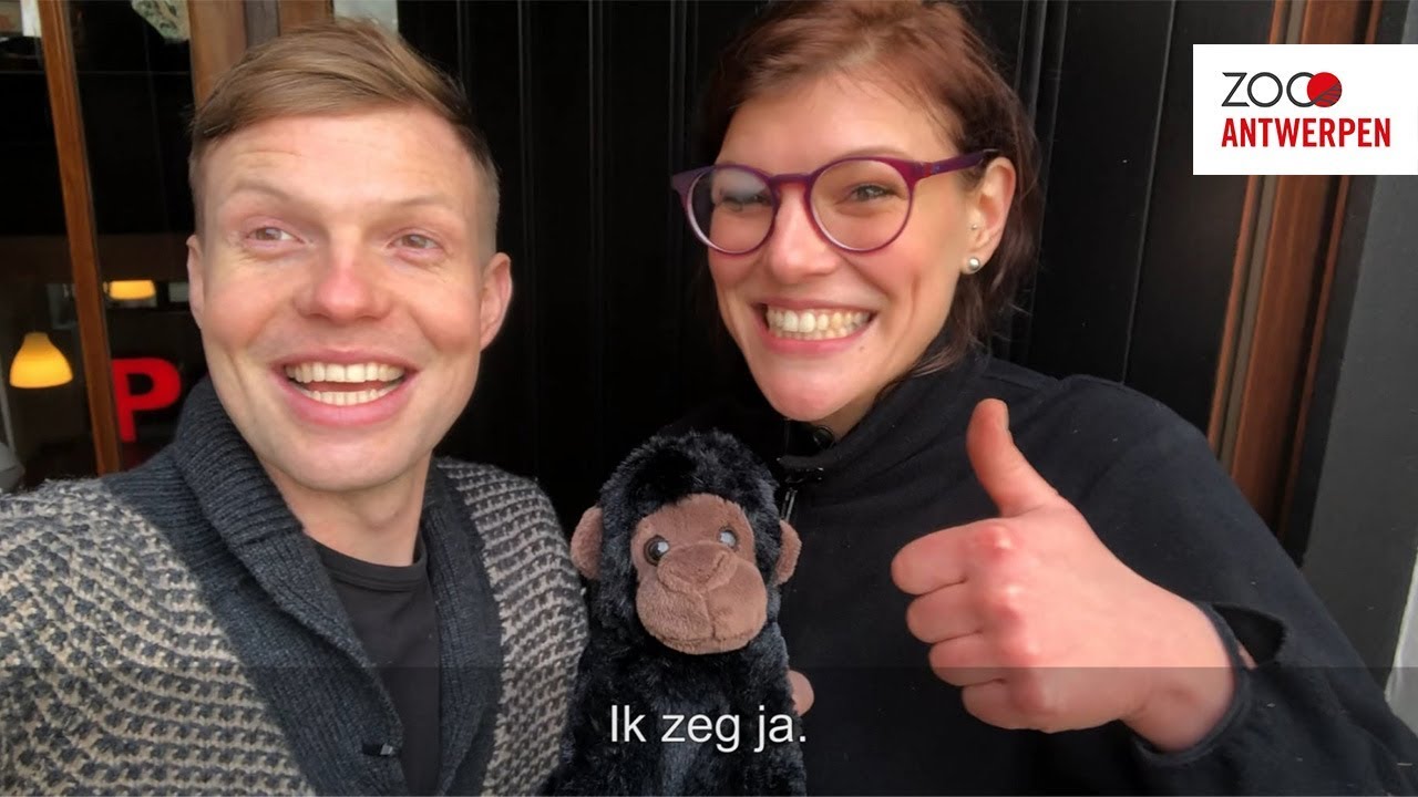 Babygorilla T krijgt een bekende peter
