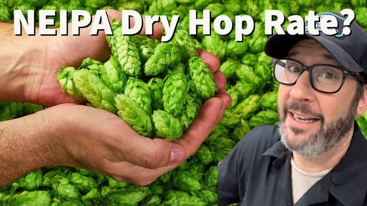 What Is The Best Dry Hop Rate For NEIPA?